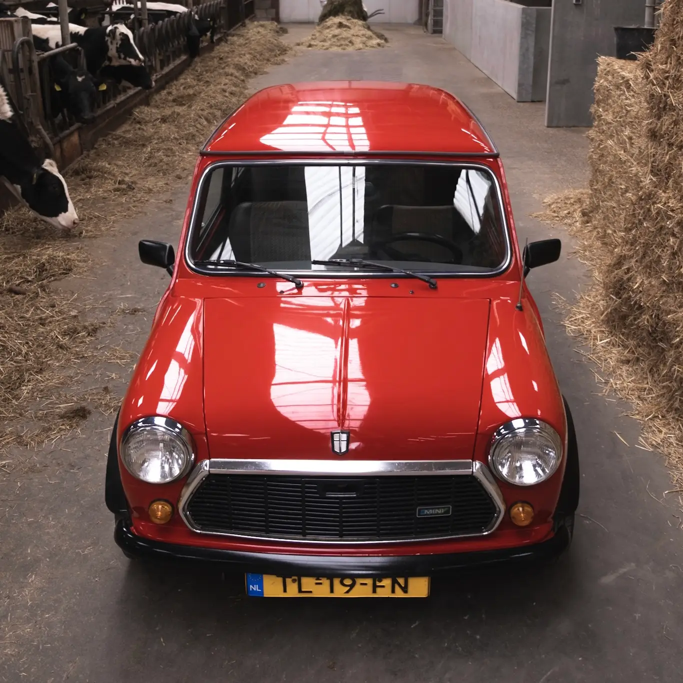 A red Austin Mini 1000 E Magic standing in a barn with the coating shining bright