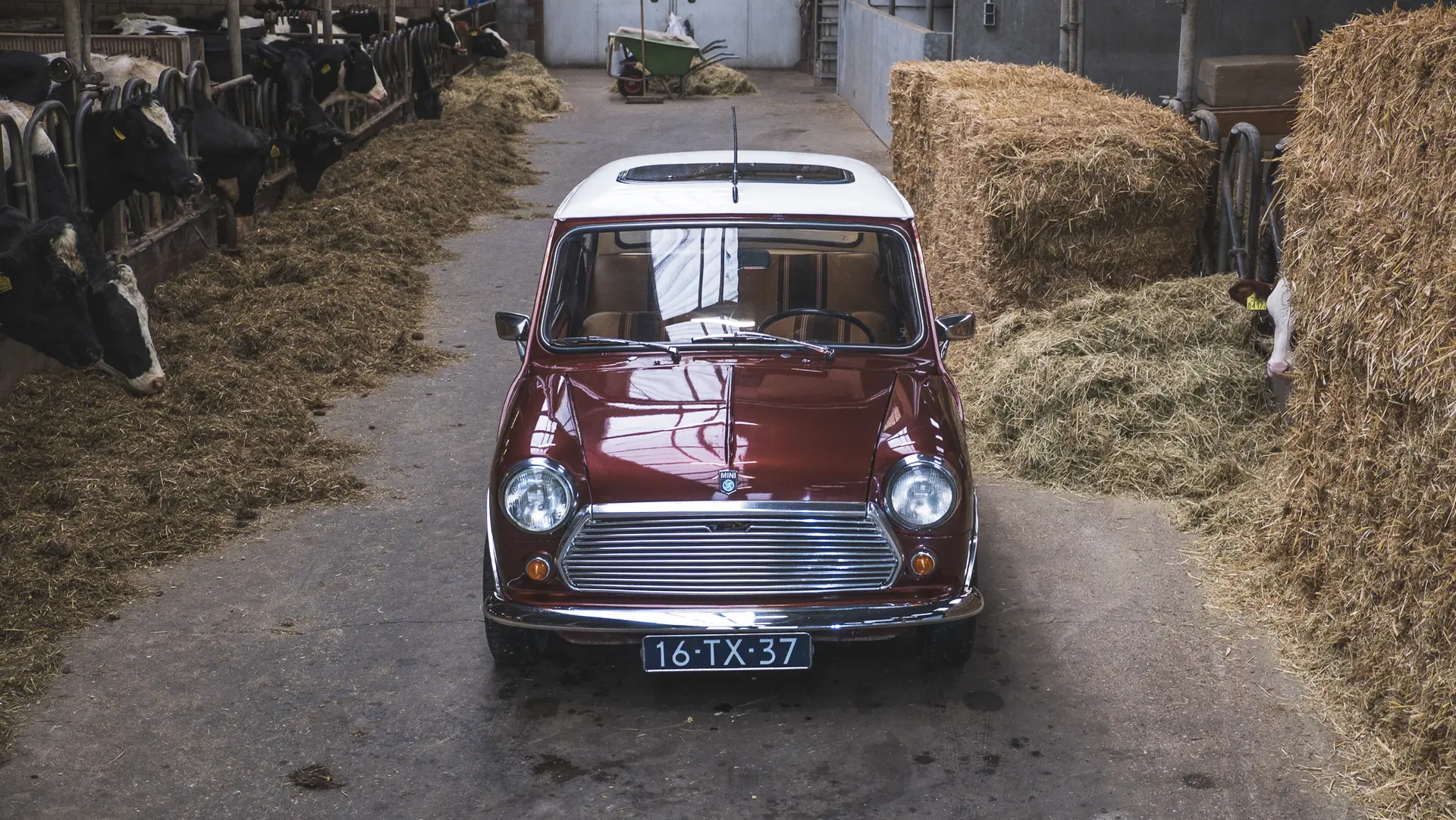The front image of the whole dark red Mini Classic, taken from a high standpoint
